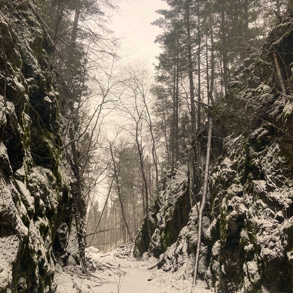 Meet your Posher, G - Picture 1 of 1